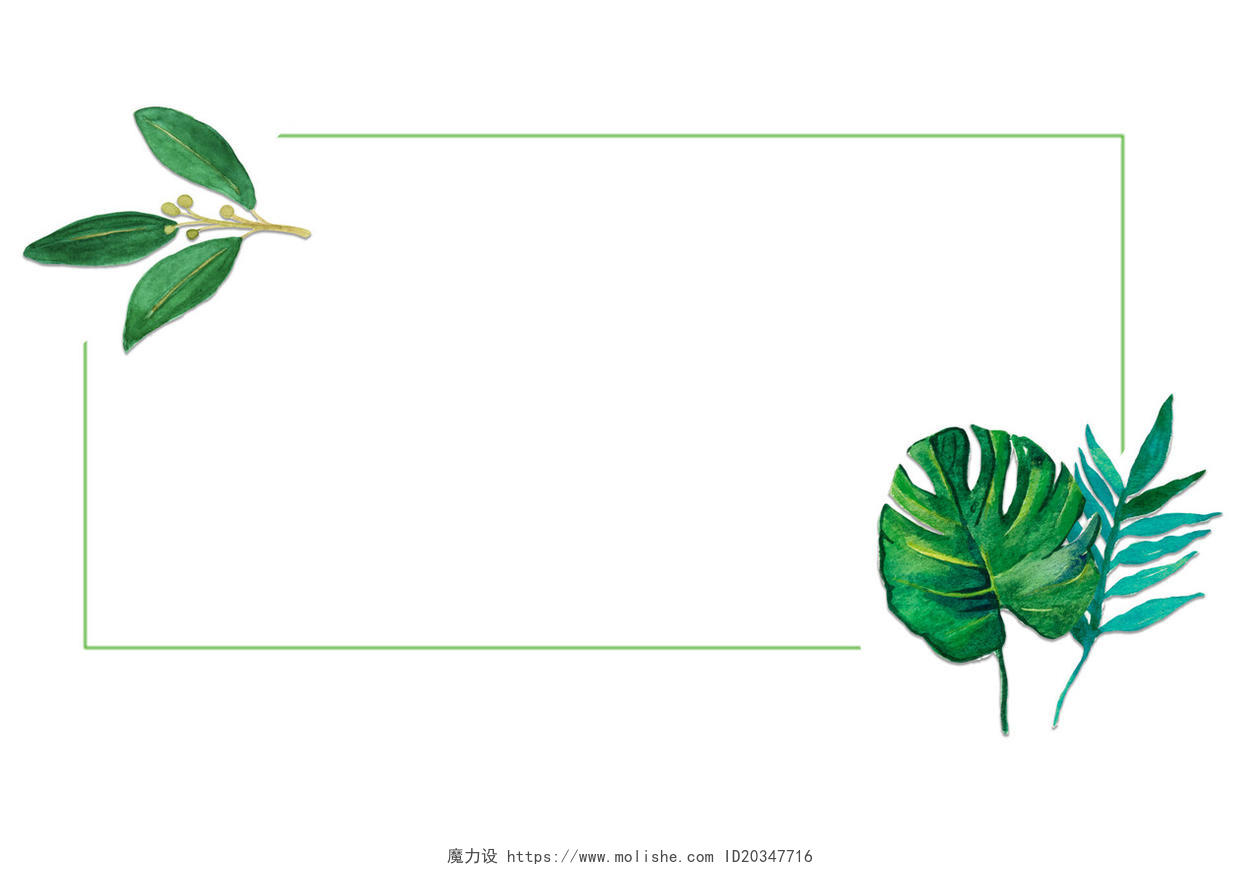 热带雨林植物边框素材